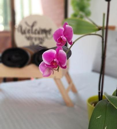 Moradia Laureles Medellin Apartment Bagian luar foto