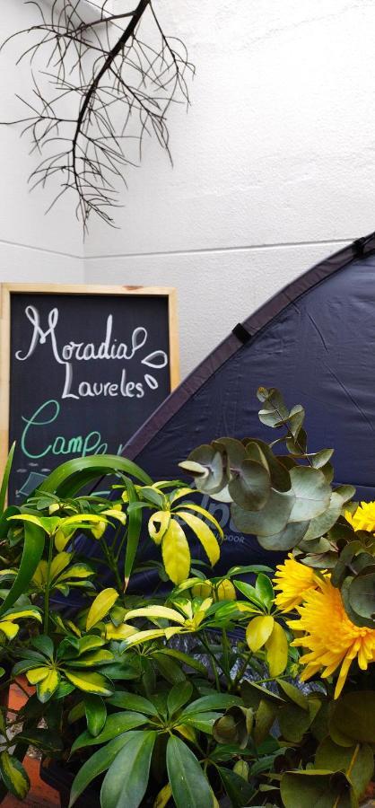 Moradia Laureles Medellin Apartment Bagian luar foto
